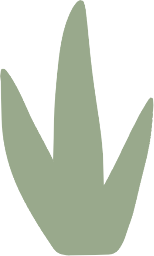 Aesthetic earthtone color