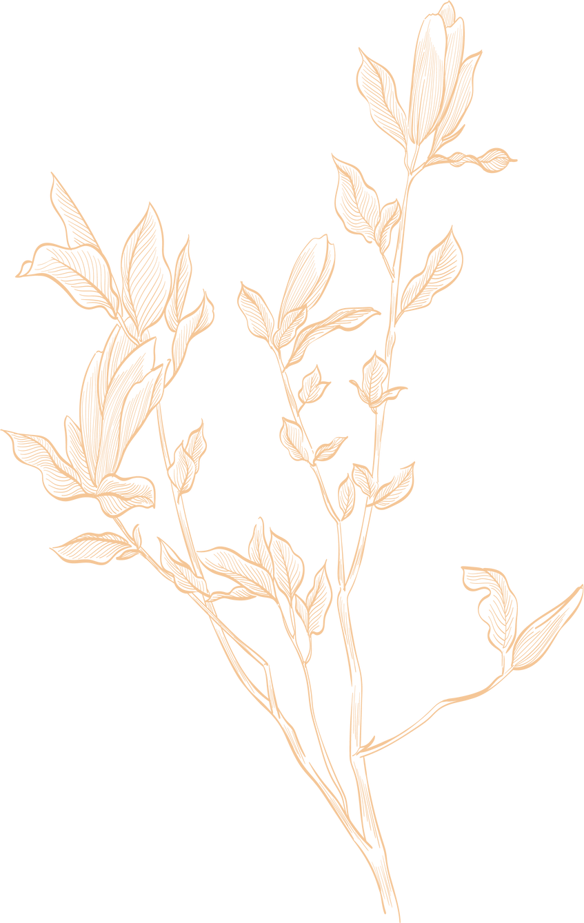 Hand Drawn Branch of Brown Flower Element.